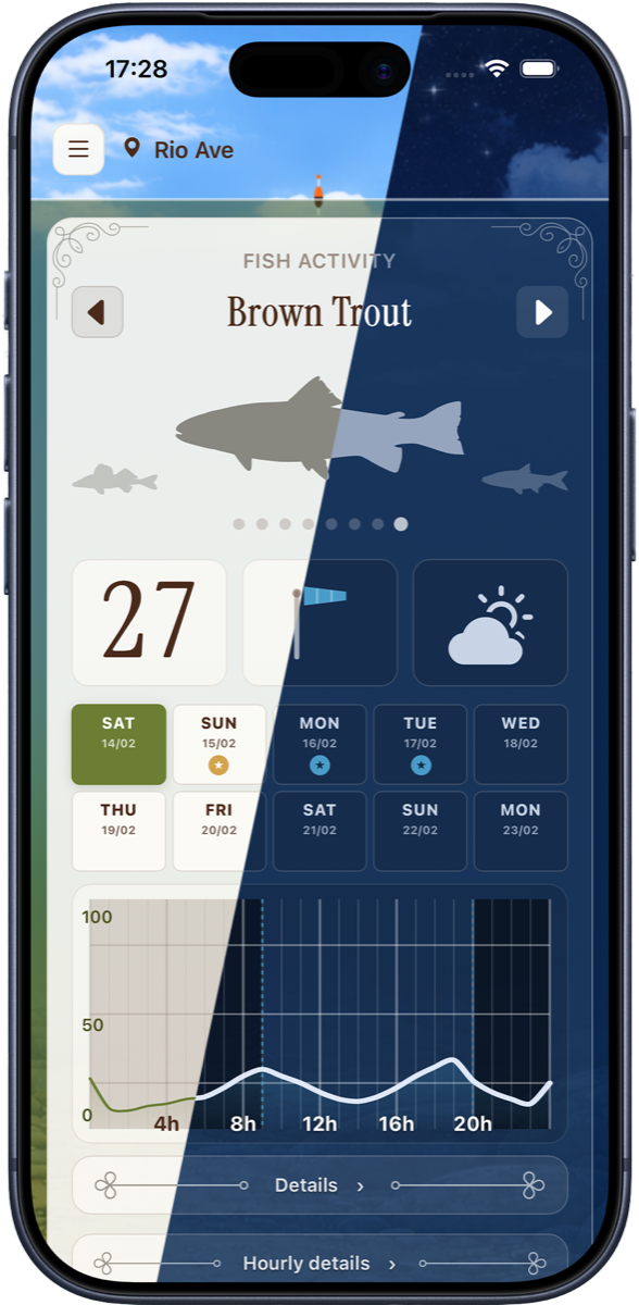 Designed for Day and Night