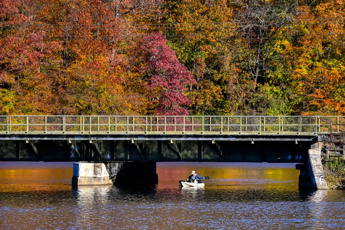 Fall Fishing: Why Autumn Is the Best Season to Fish