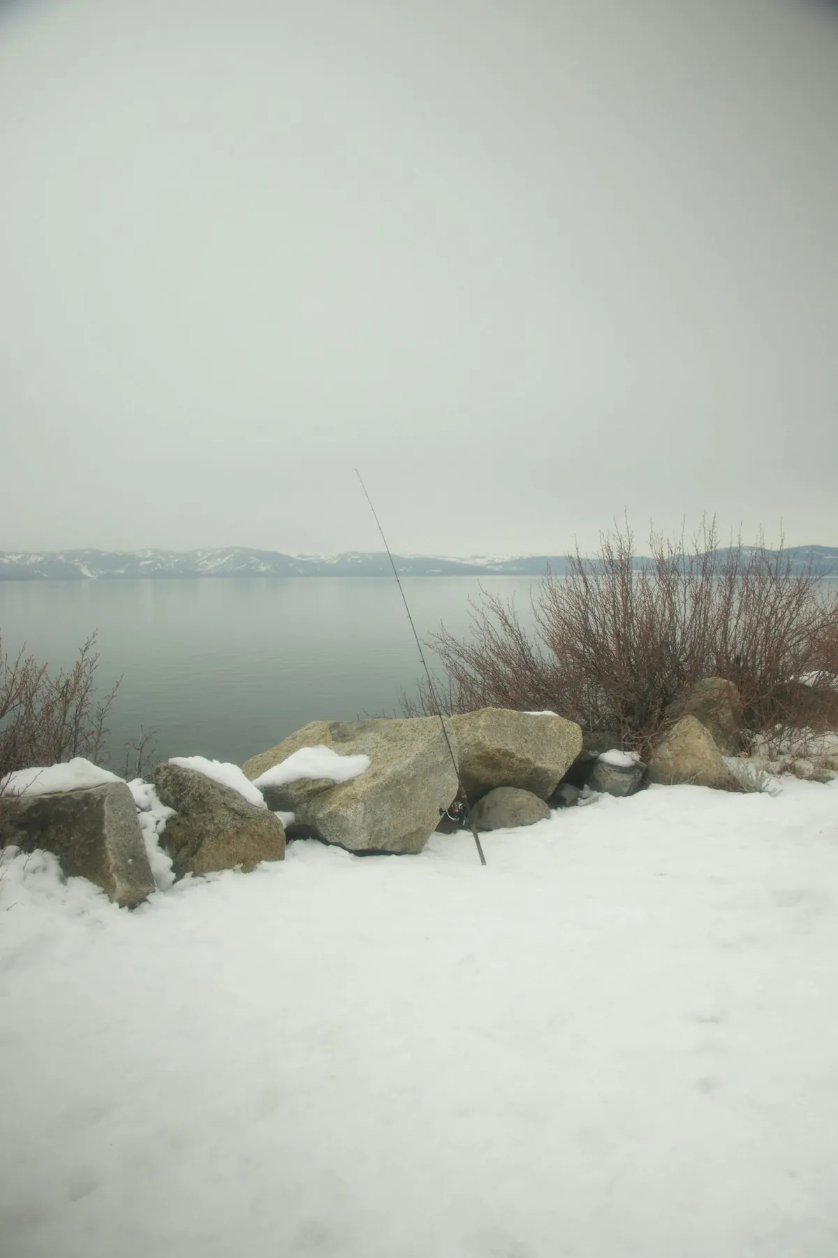 Freshwater Fishing for Beginners: Everything You Need to Know