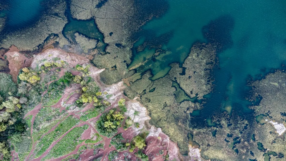 How to Read a Lake: Finding Fish in Still Water