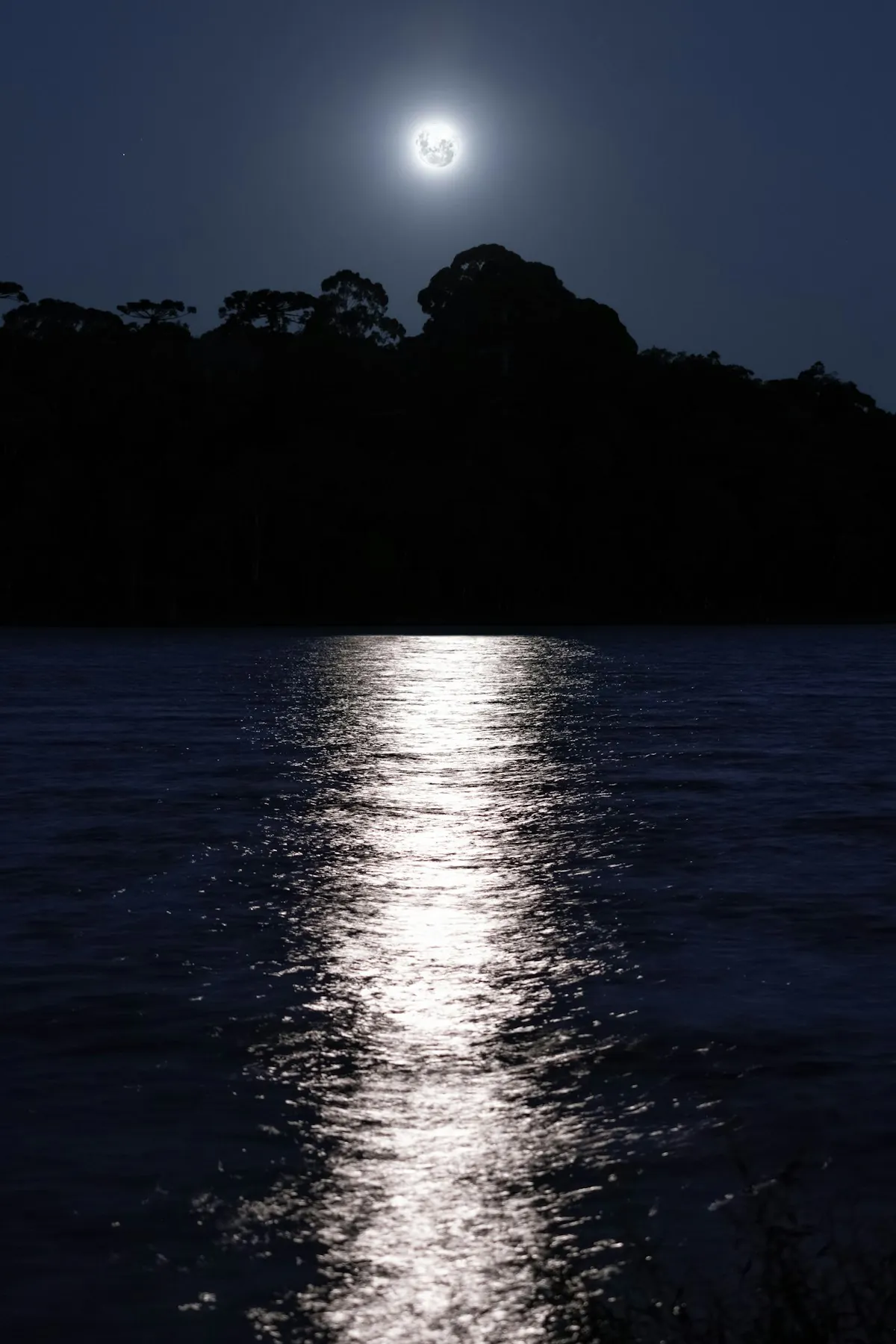 Moon Phases and Fishing: What the Science Actually Says