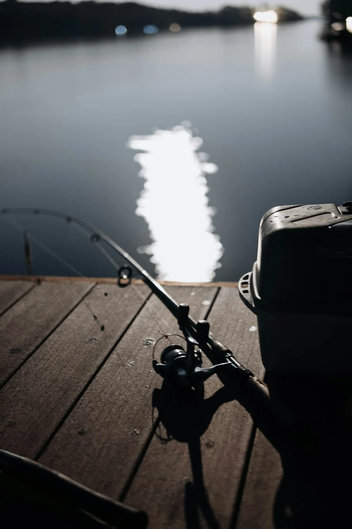 Night Fishing: Tips, Safety & Best Species to Target