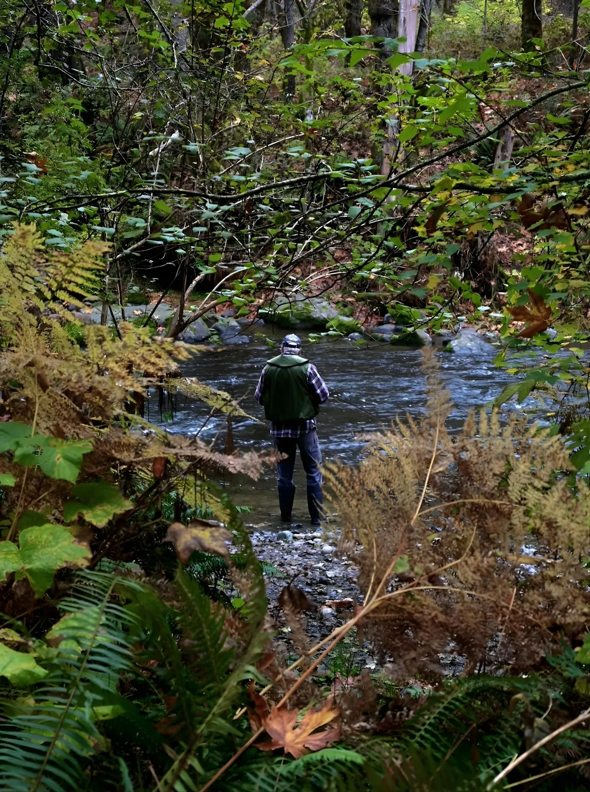 River Fishing: How to Find the Best Spots