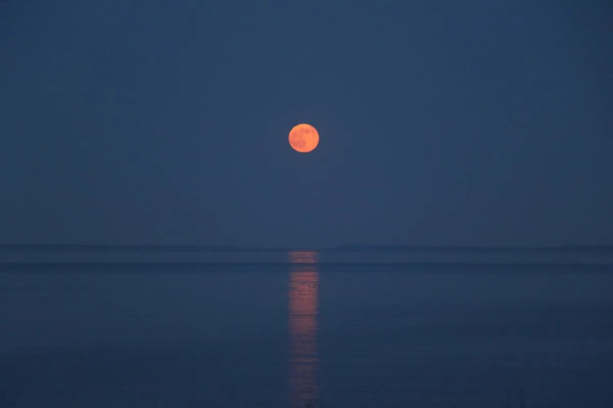 Solunar Theory Explained: Does It Really Work for Fishing?
