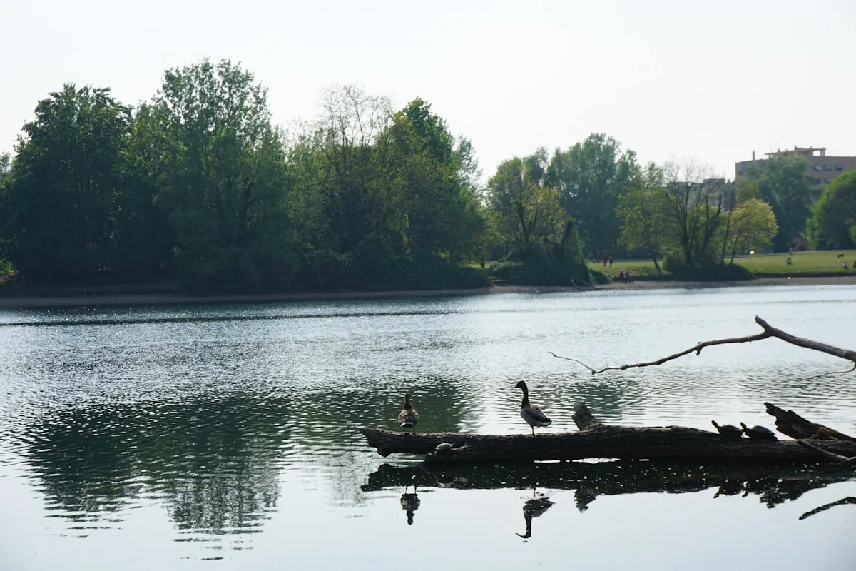 Spring Fishing Guide: Best Species, Times & Techniques