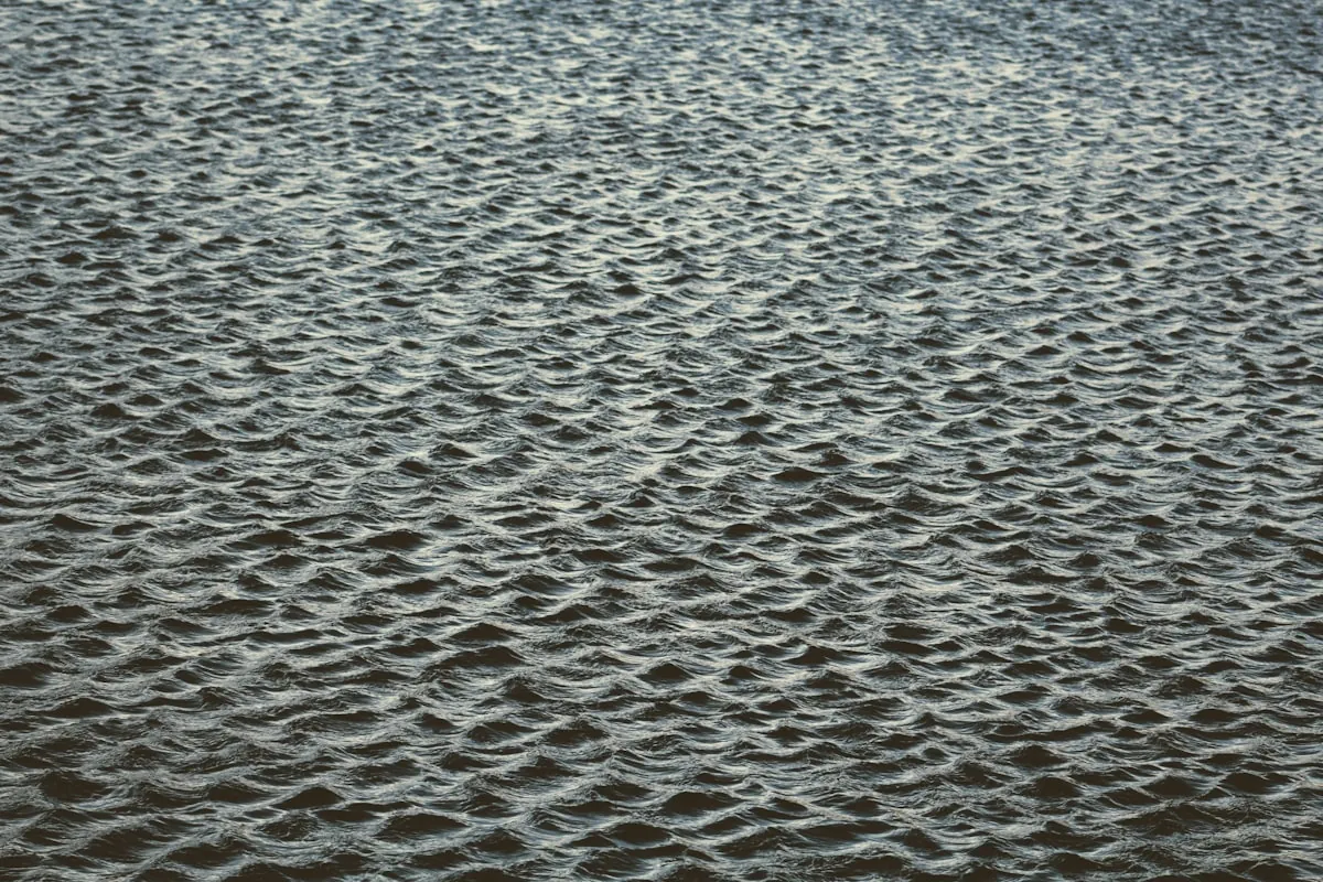 How Wind Affects Fishing: Direction, Speed & Strategy